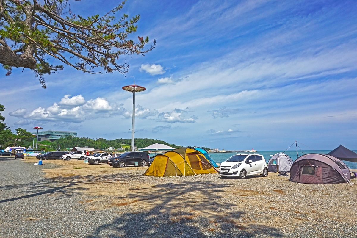 경주 관성솔밭해변 캠핑