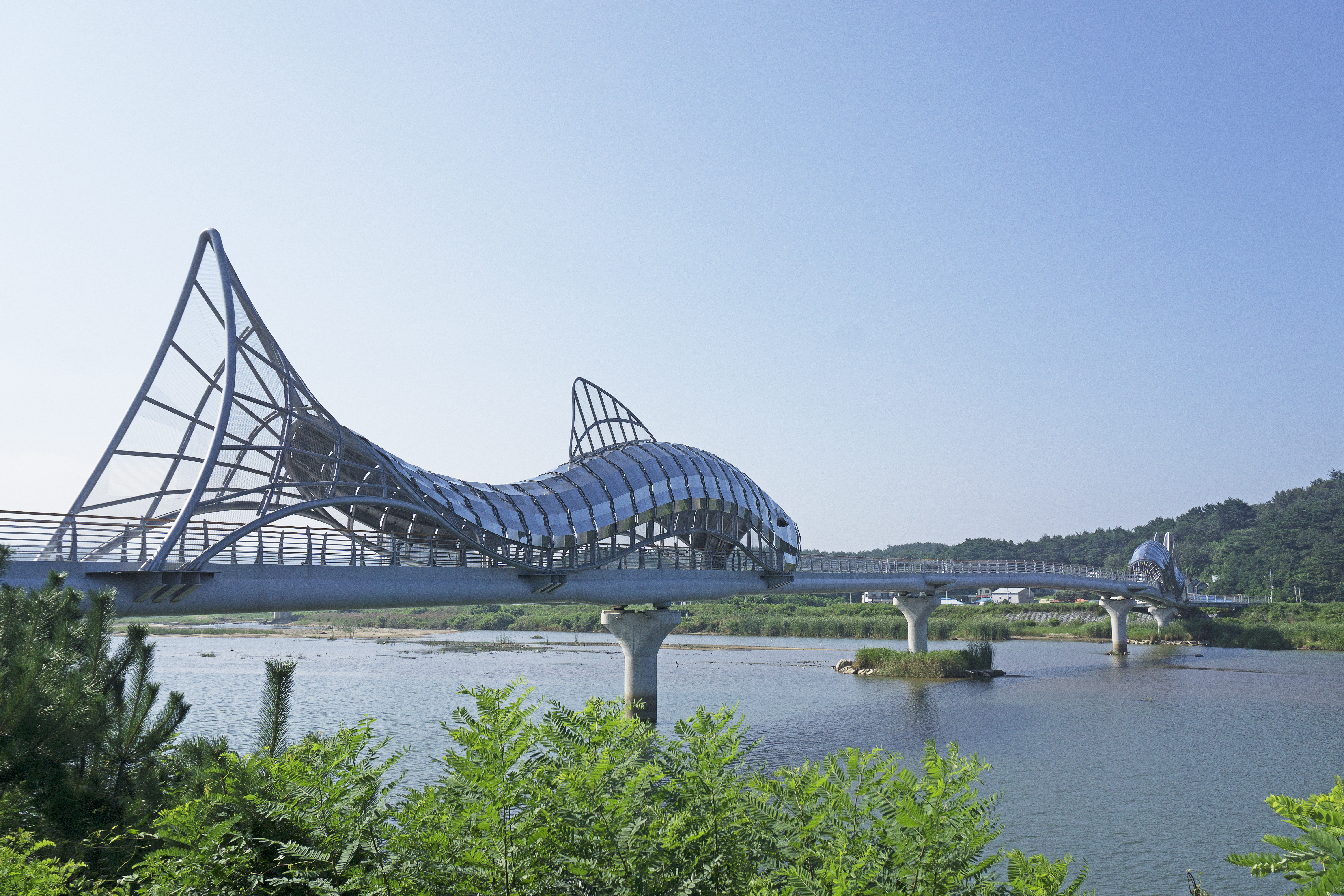 은어다리 사진3