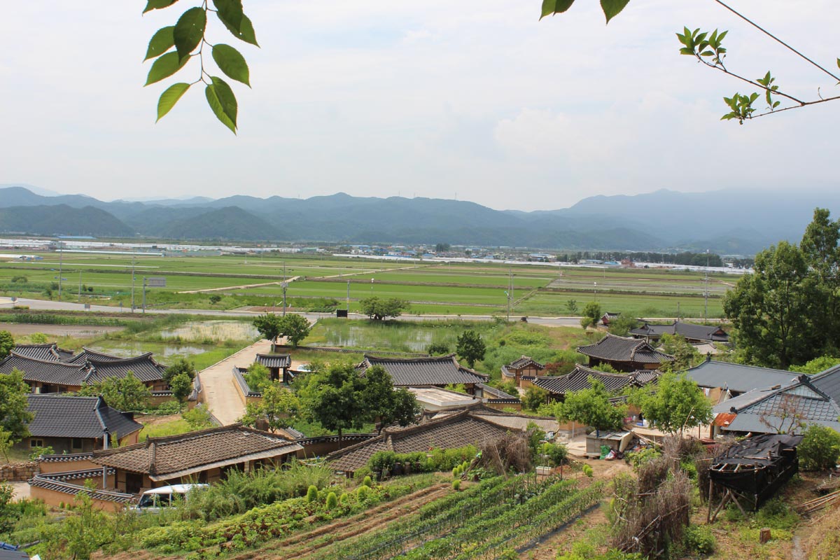 괴시리전통마을 사진1