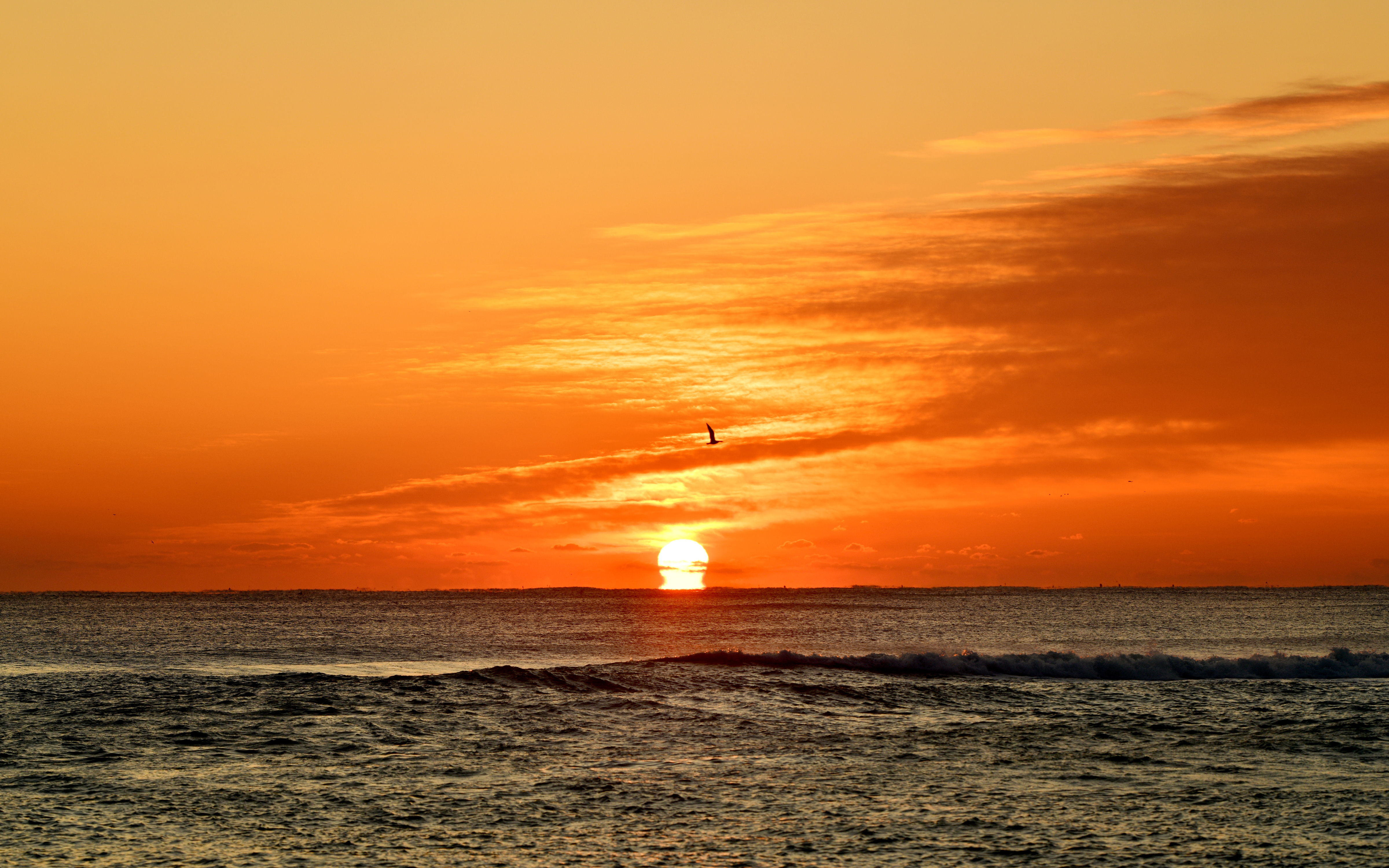 망양정해수욕장 사진1