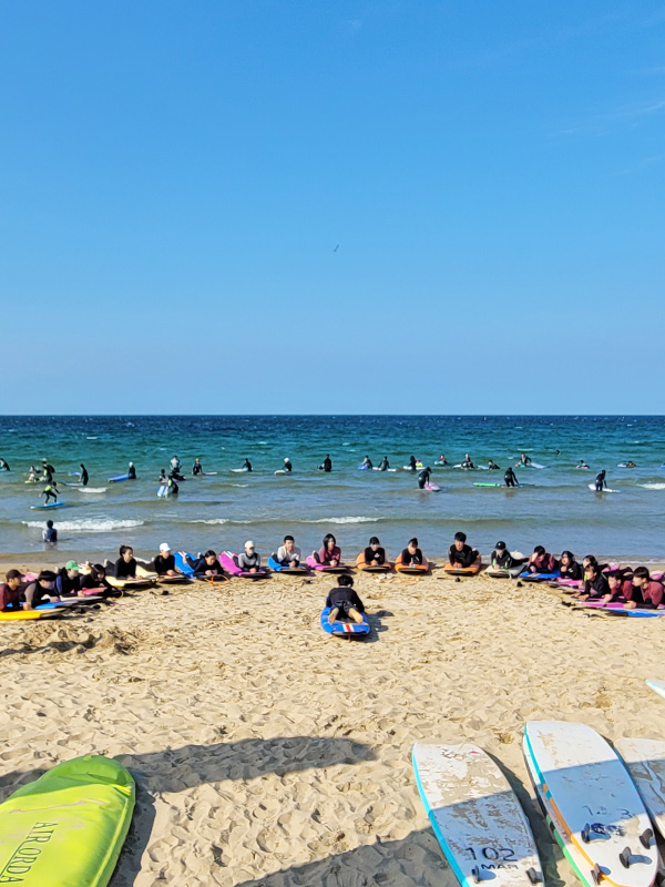 서프홀릭 포항 사진3