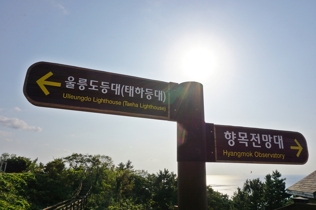 태하향목전망대(향목지질스카이워크) 사진4