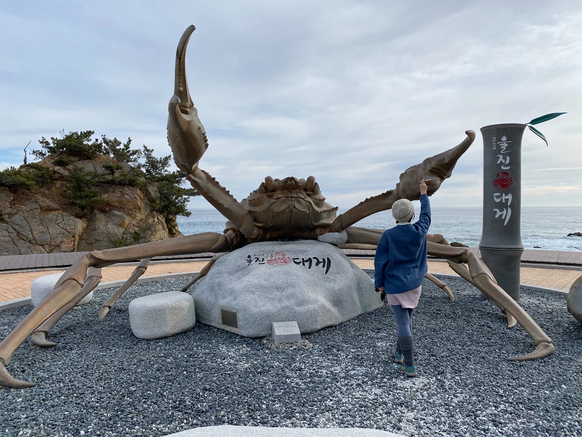 기성망양해수욕장 사진6