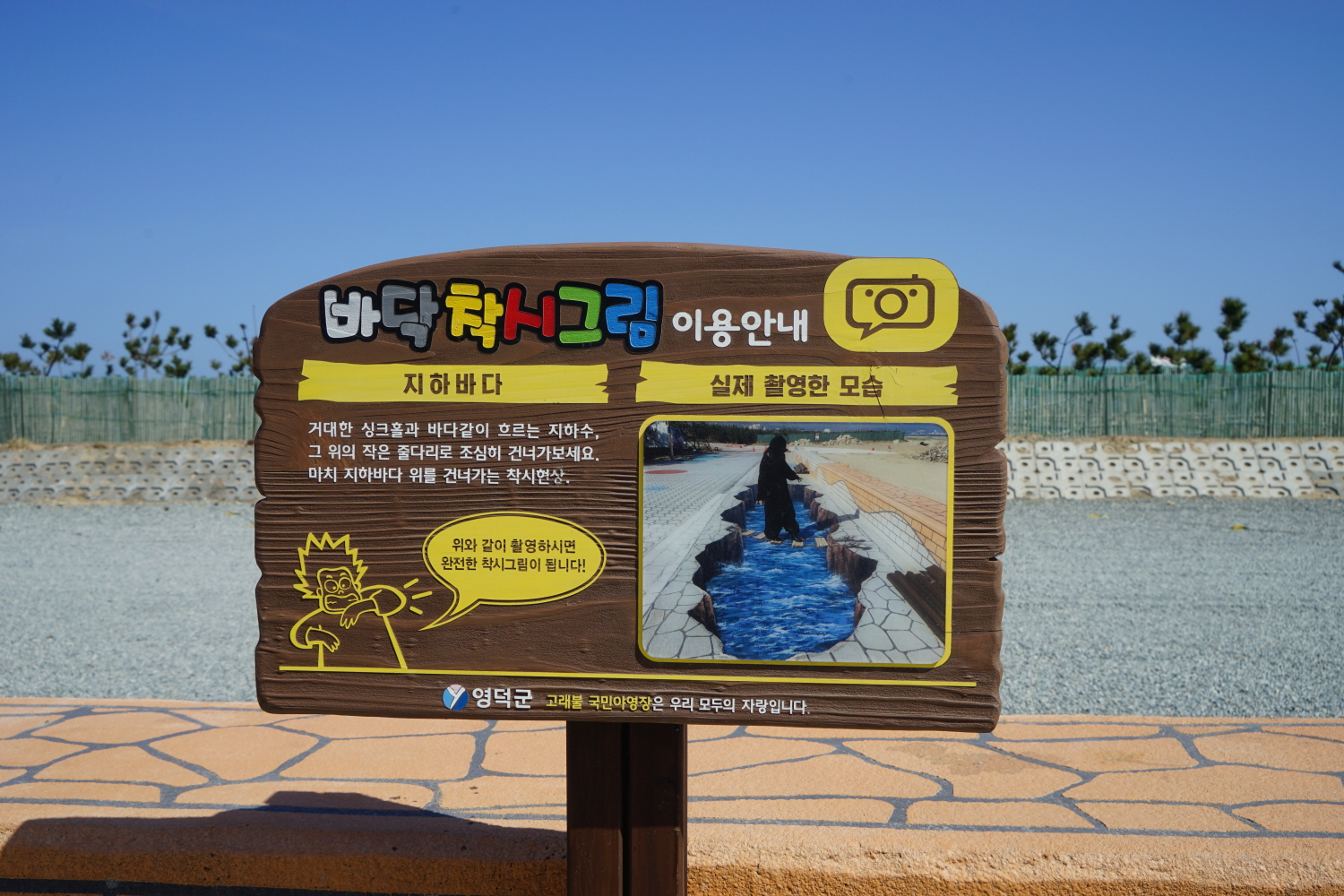 고래불국민야영장 사진2