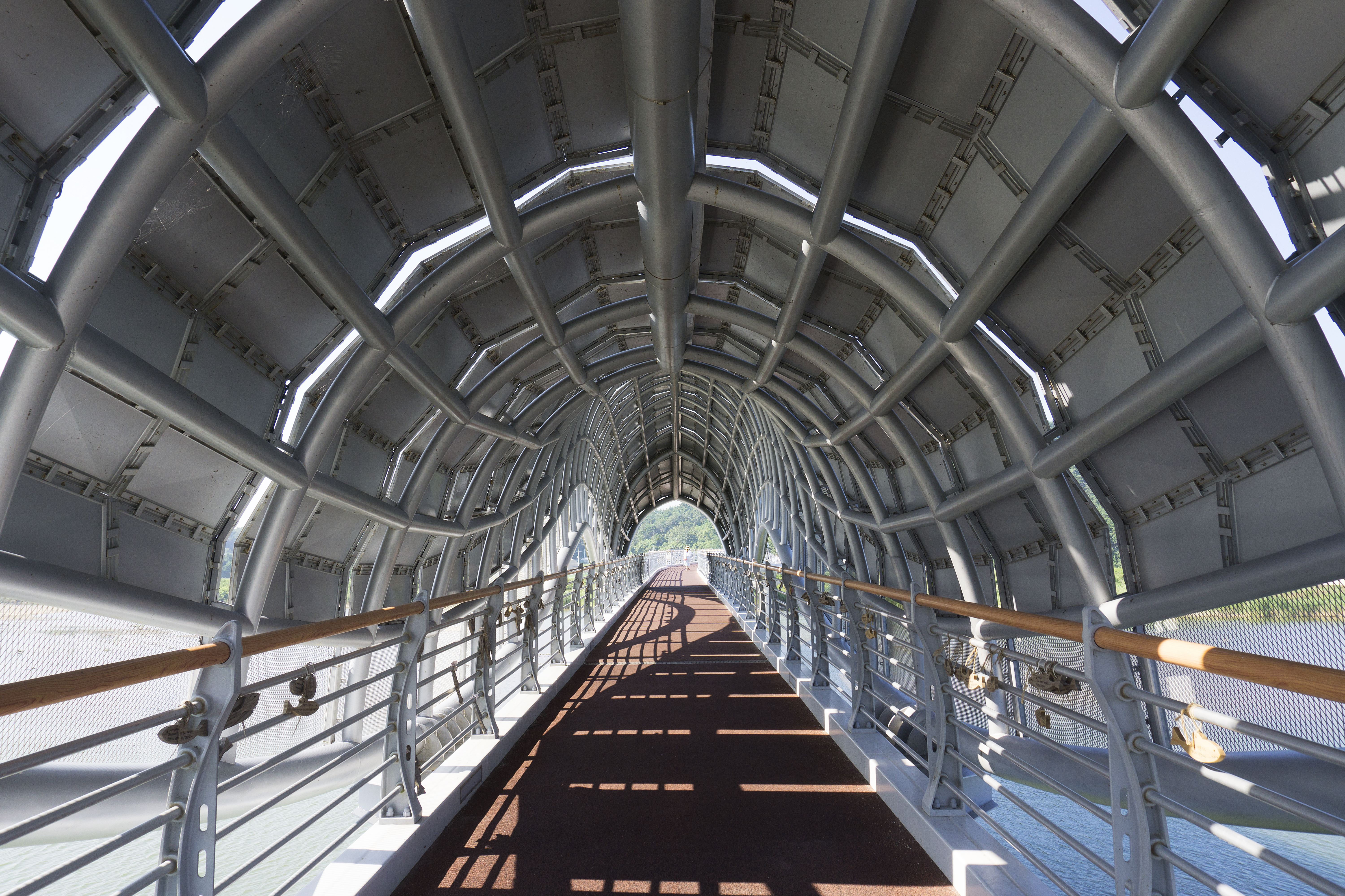 은어다리 사진4