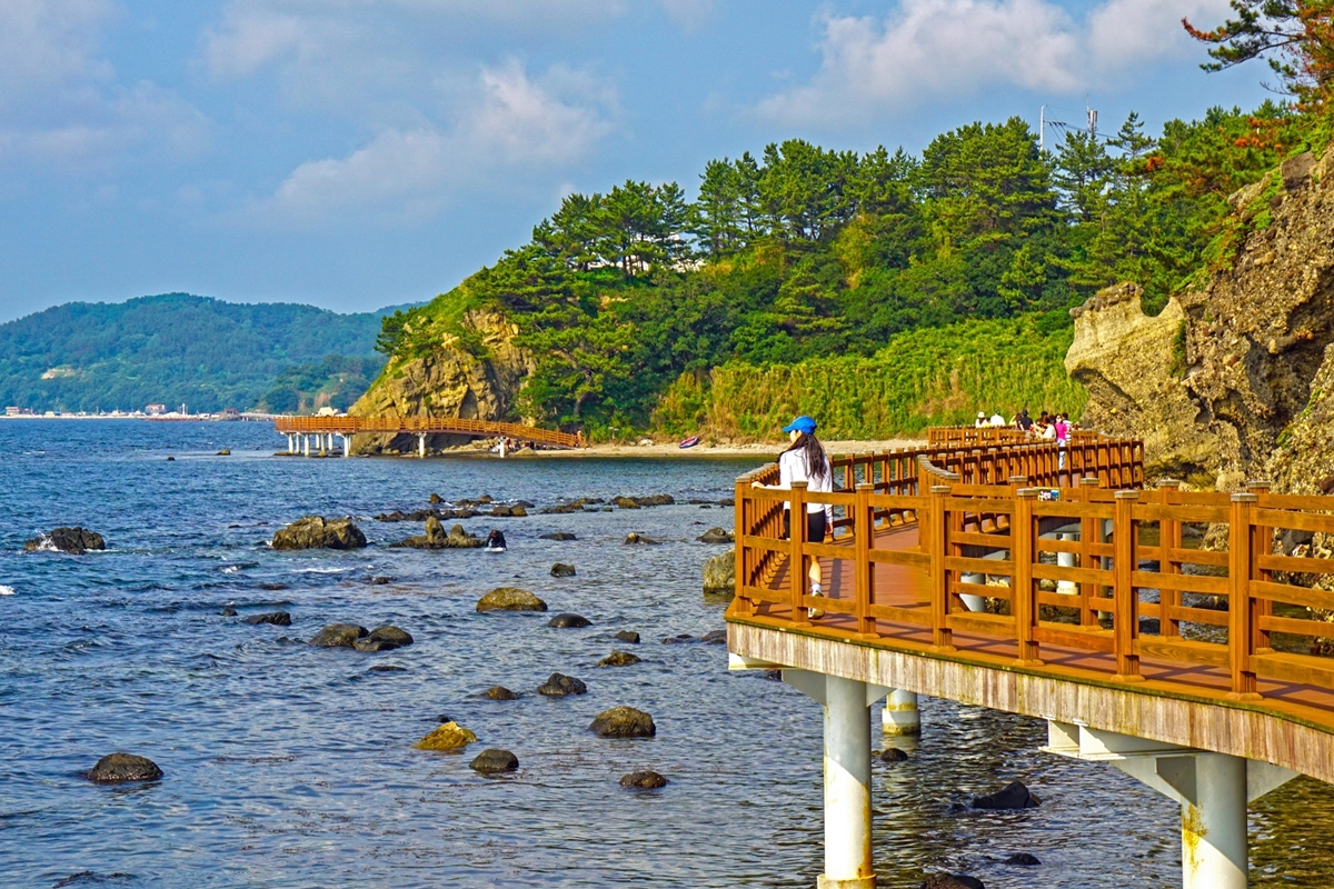 호미반도 해안둘레길 사진2