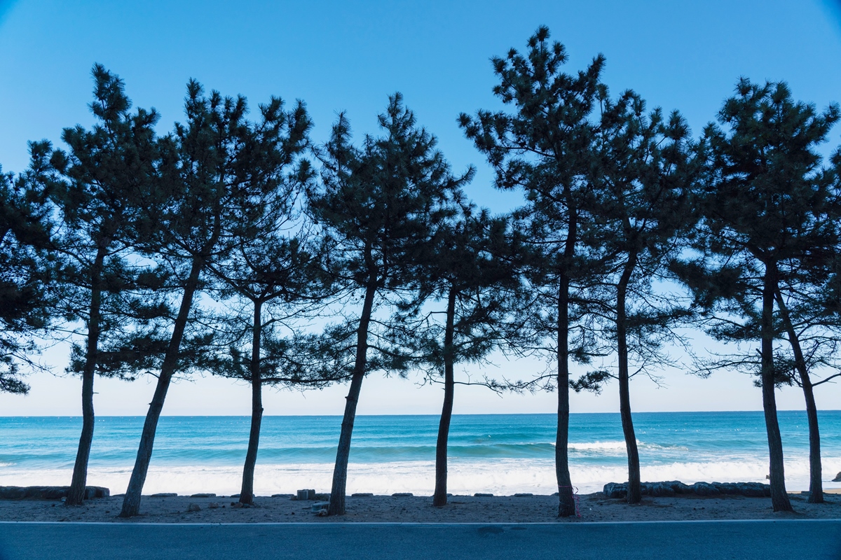 블루로드 D코스 사진6