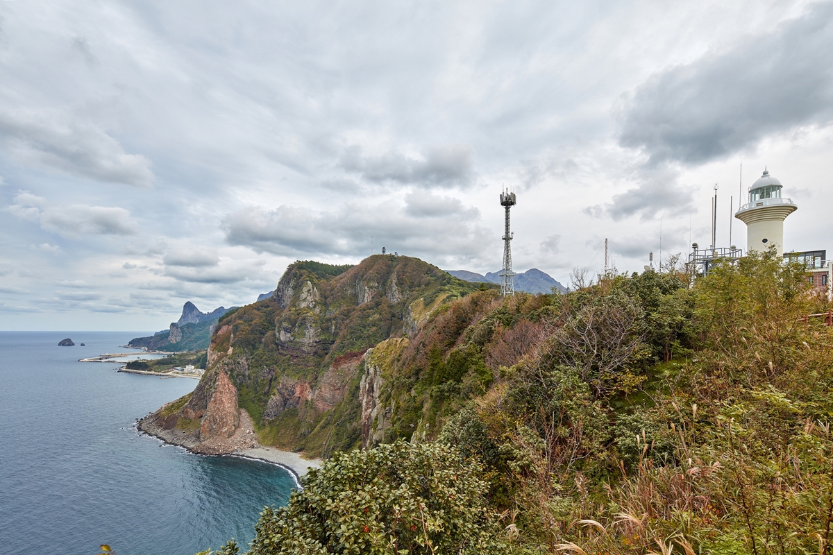 태하향목관광모노레일 사진4