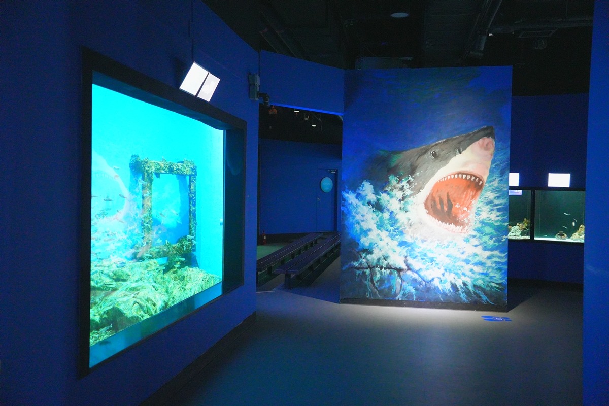 울진 울진아쿠아리움 사진4