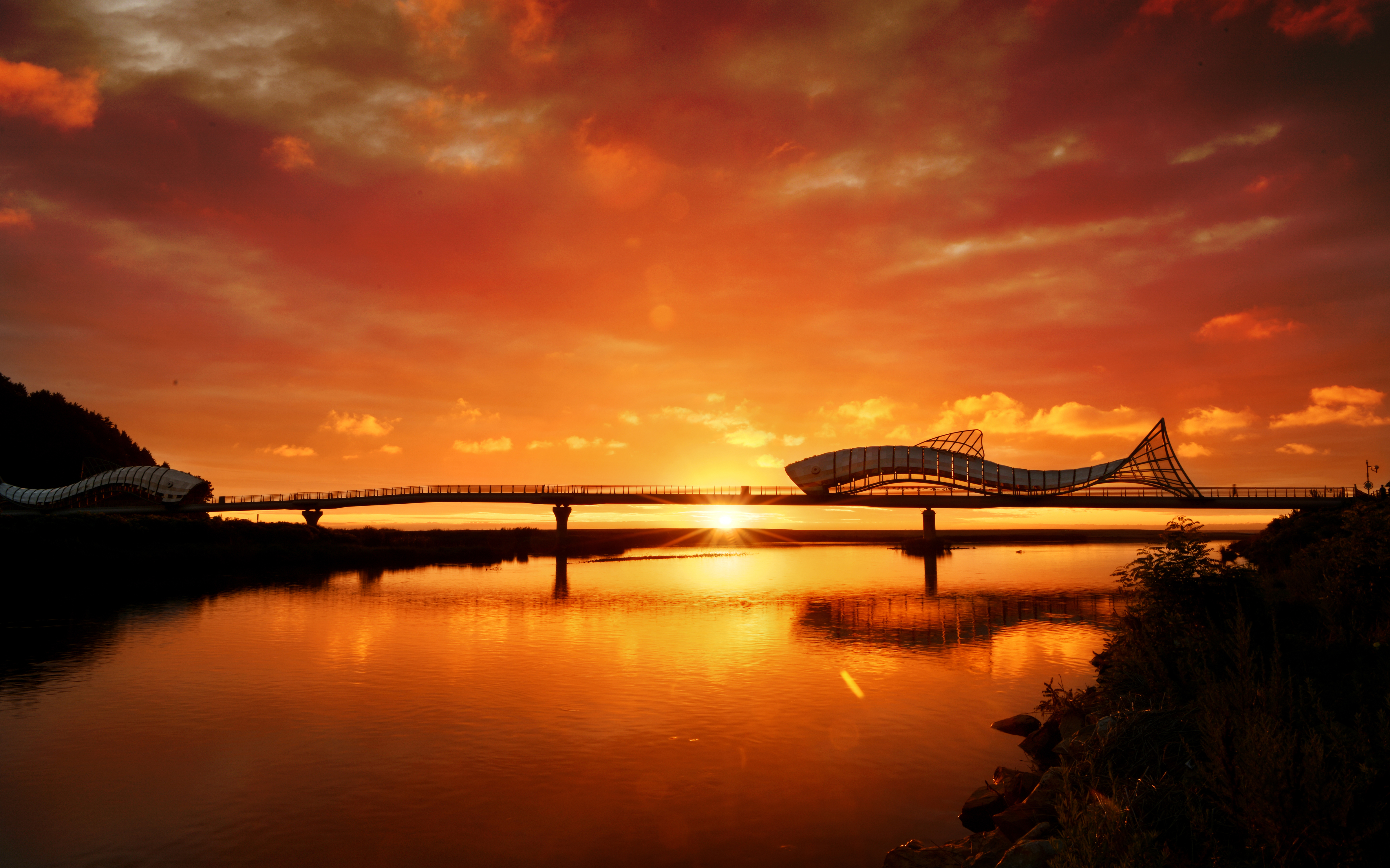 은어다리 사진2