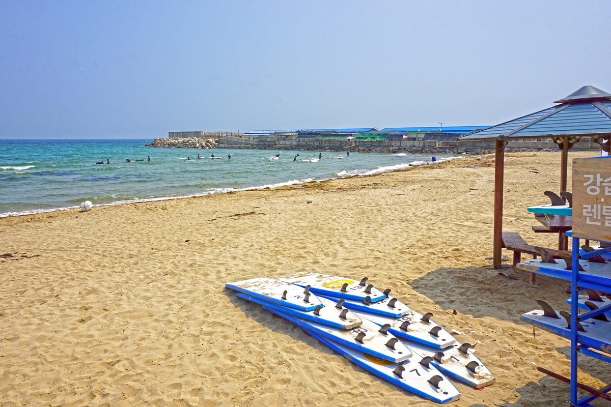 서프홀릭 포항 사진2