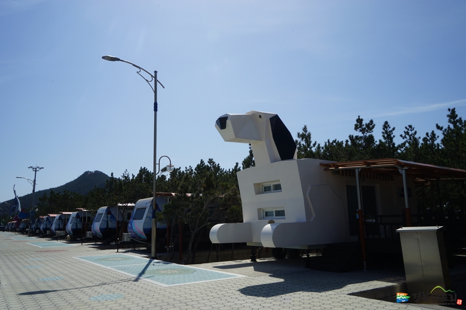 고래불국민야영장 사진4