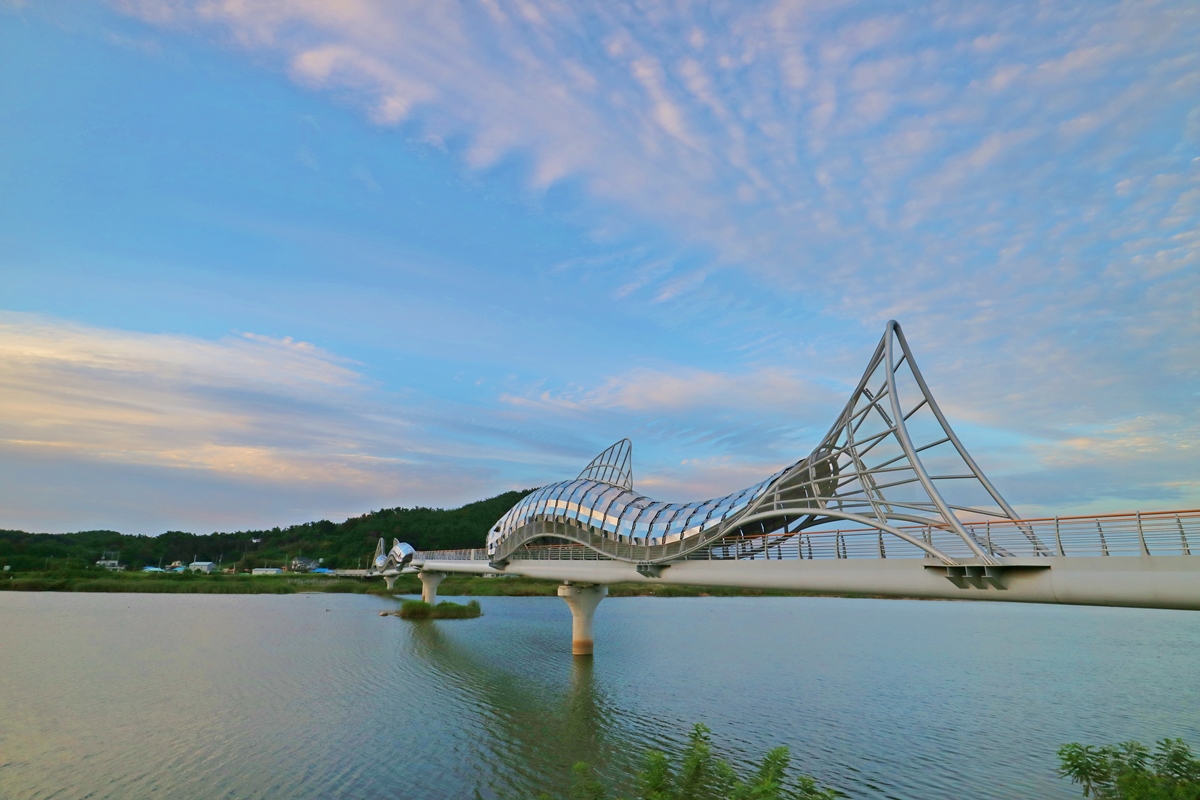 울진 은어다리 사진2