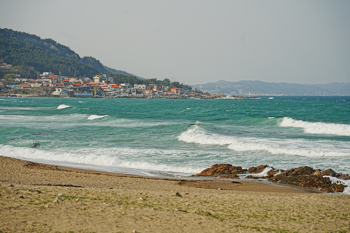 장사해수욕장 사진3