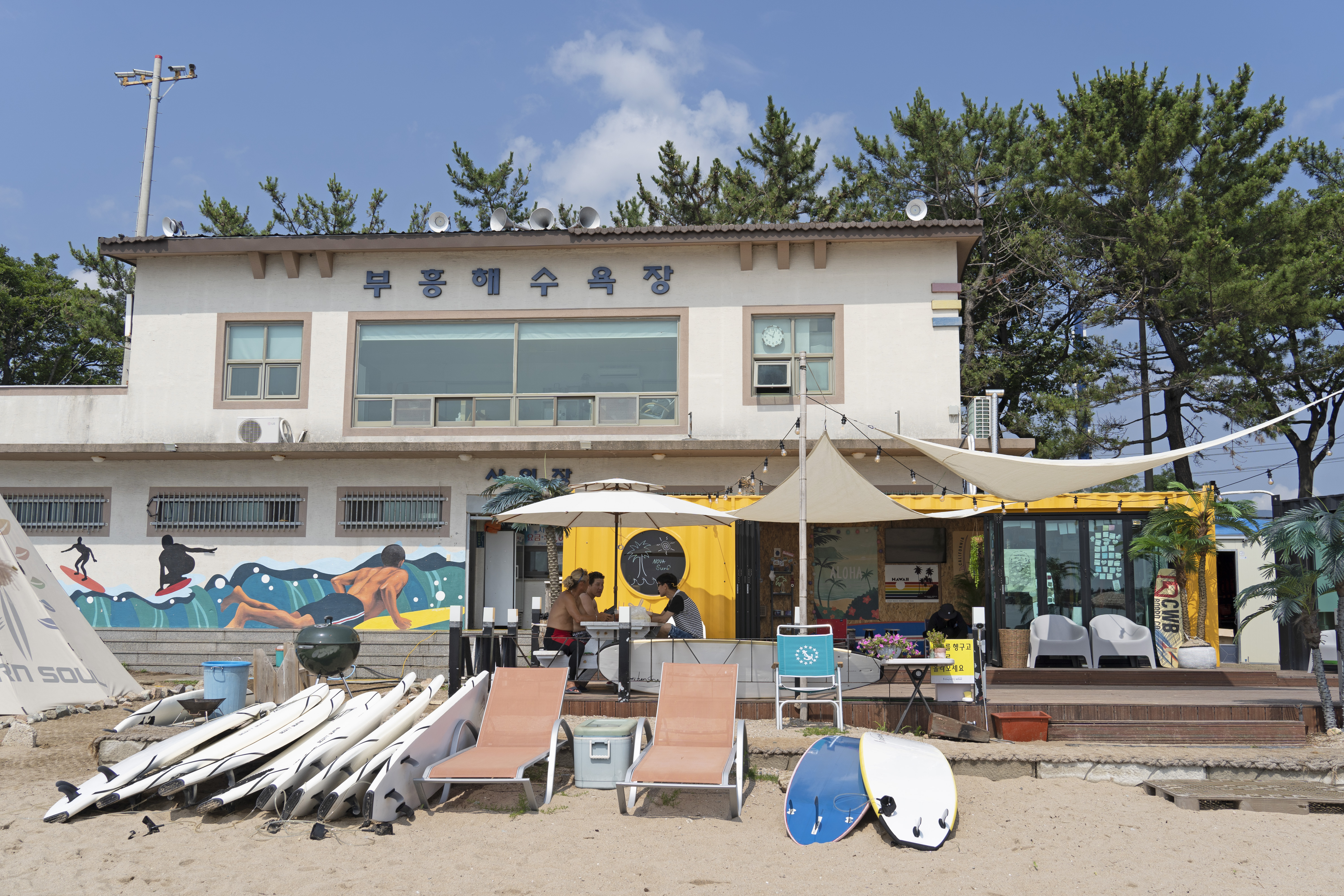 노바서프 사진2