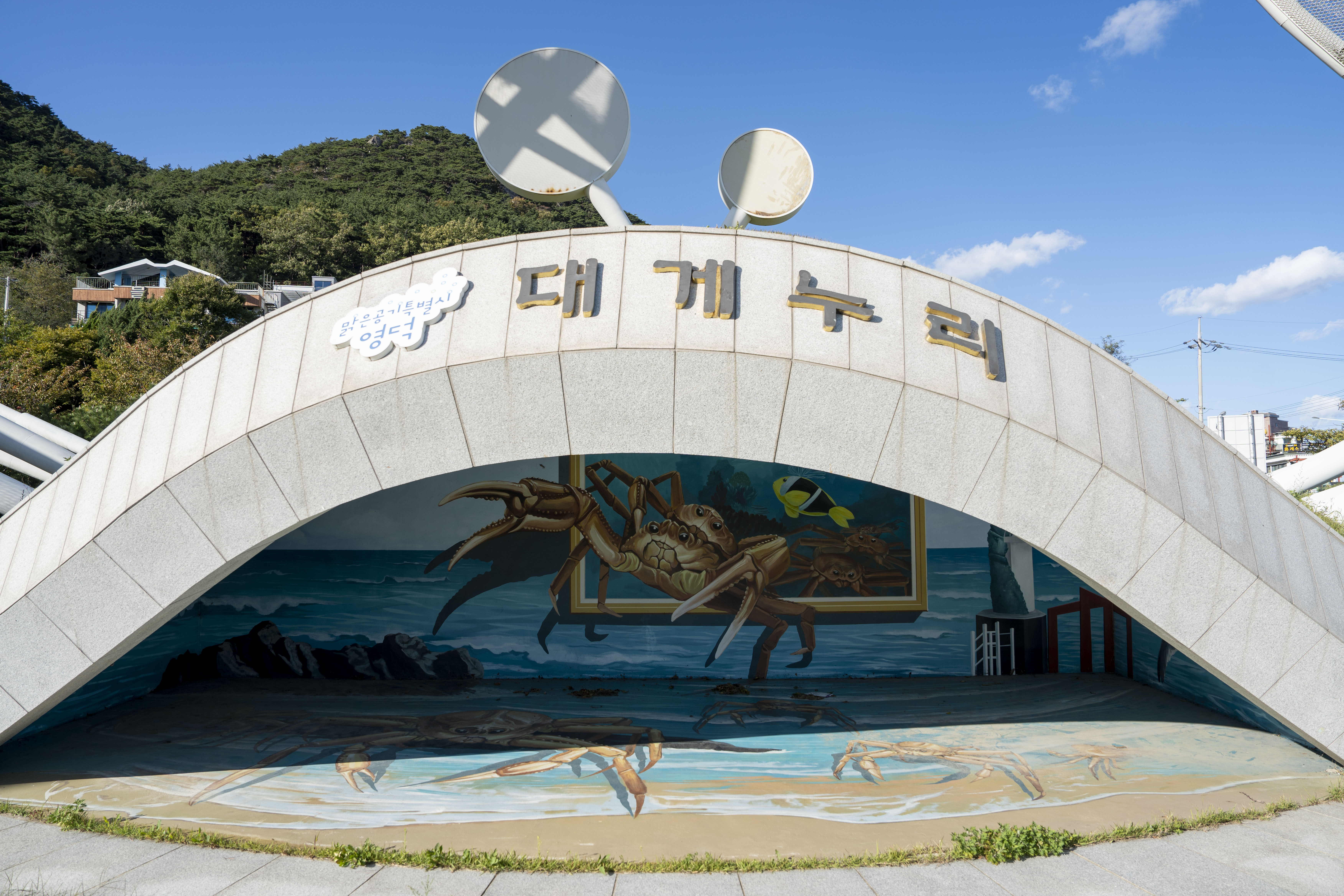 영덕대게공원 사진2