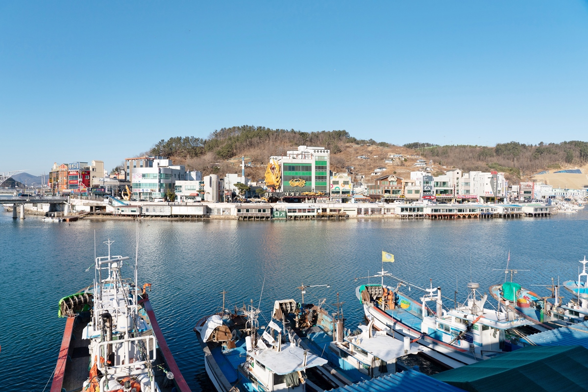 블루로드 D코스 사진8