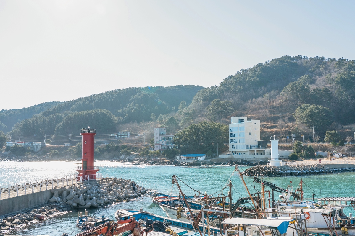 블루로드 D코스 사진5