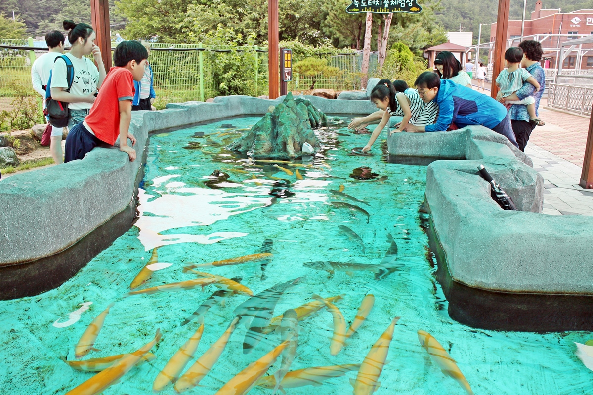 민물고기생태체험관 다섯번째 사진