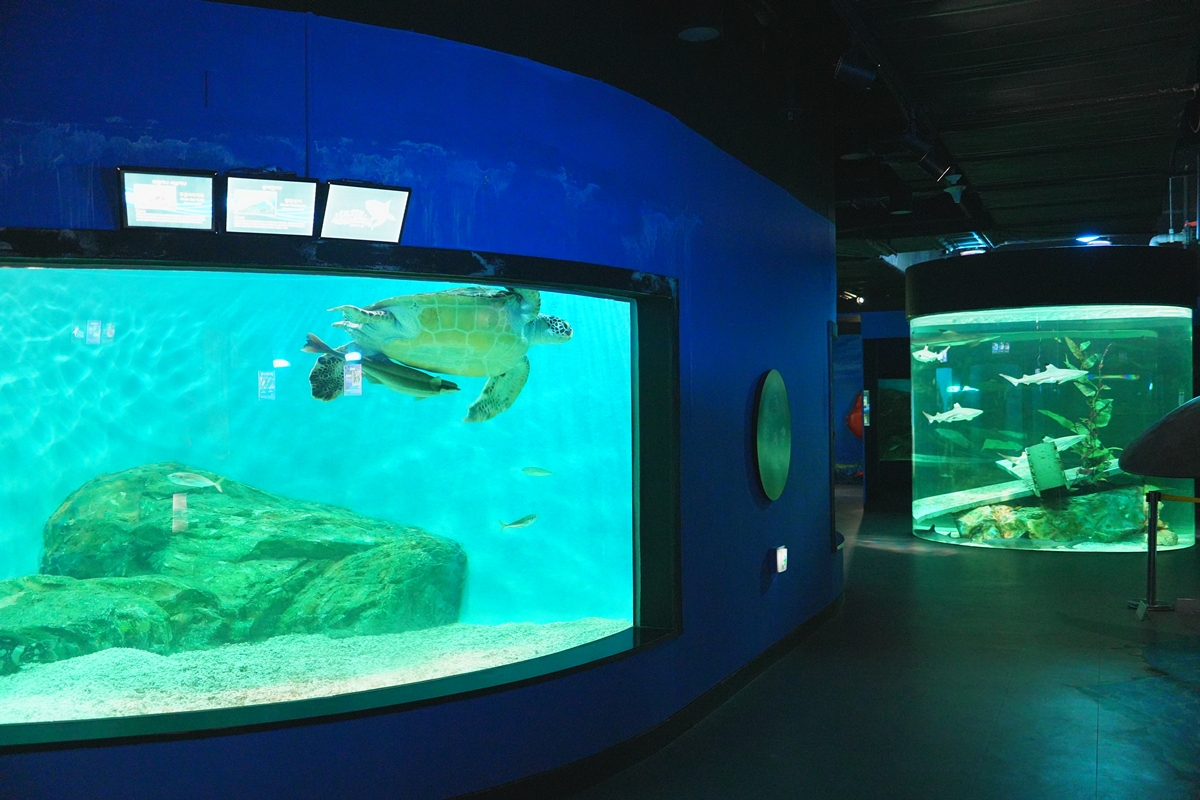 울진 울진아쿠아리움 사진1