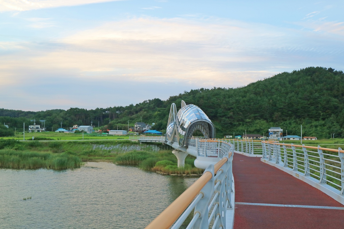 울진 은어다리 사진3