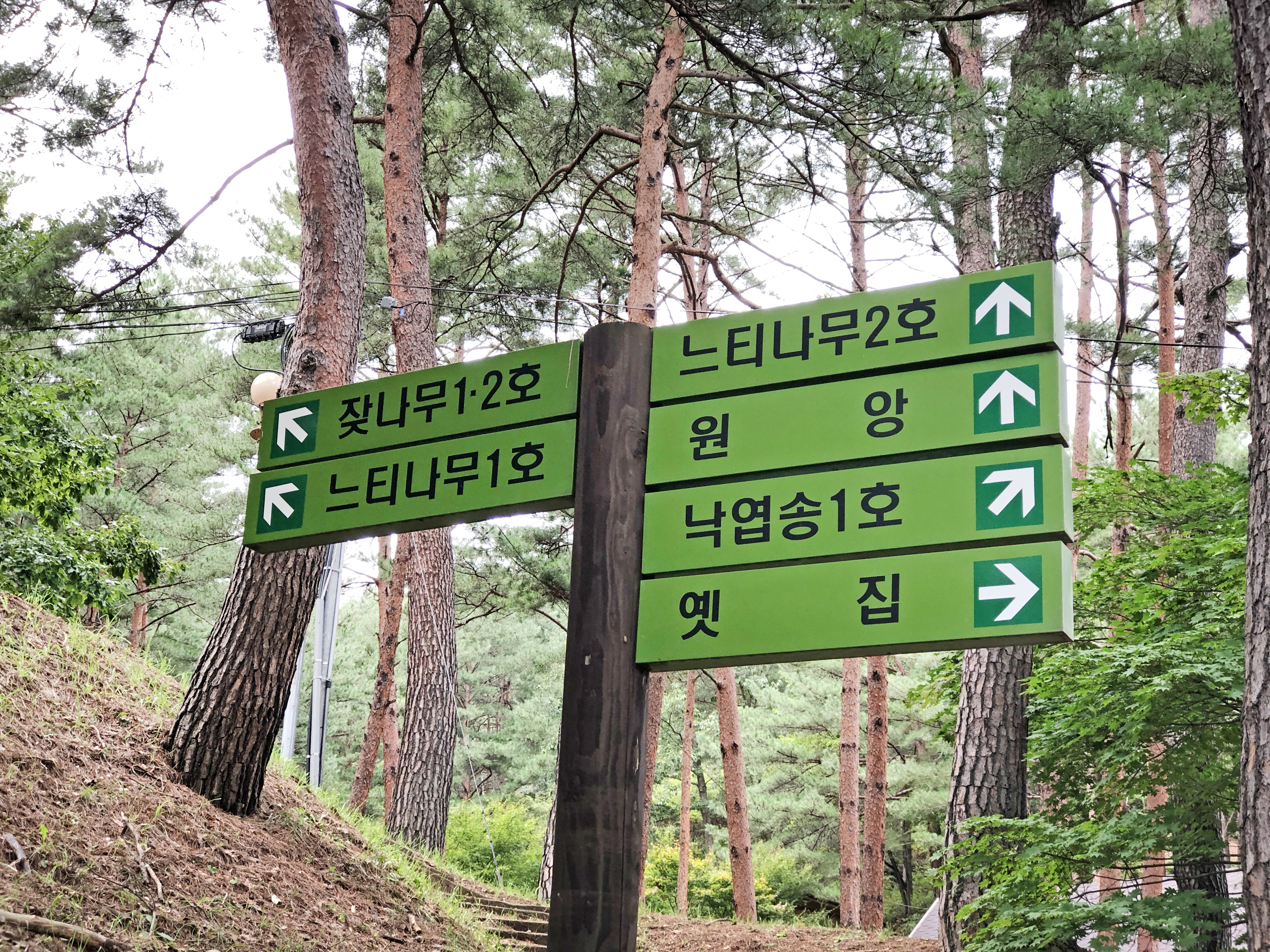 구수곡자연휴양림 사진2