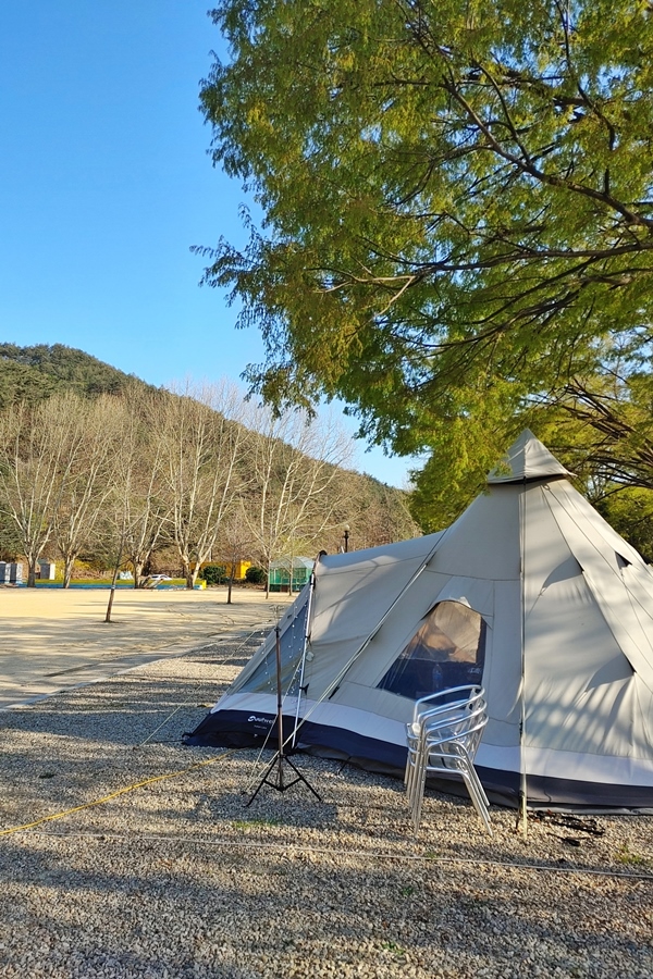 룰루랄라 체험학교 캠핑장 전경 