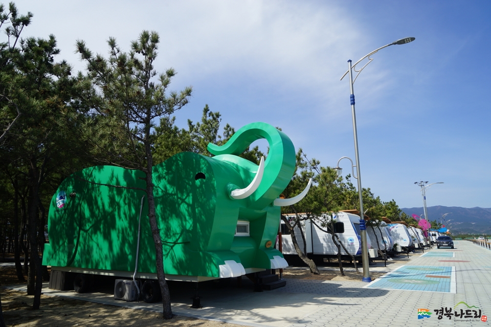 고래불국민야영장 사진1