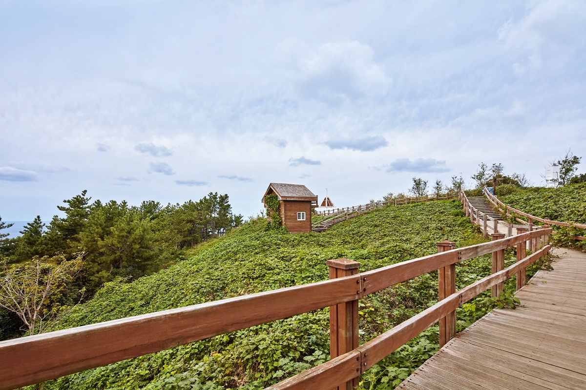 태하향목관광모노레일 사진3